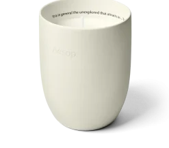 Aganice candle Aesop - Alla Violetta Boutique Rivenditore Napoli