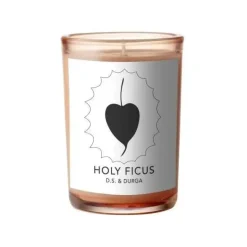Holy Ficus 200 gr